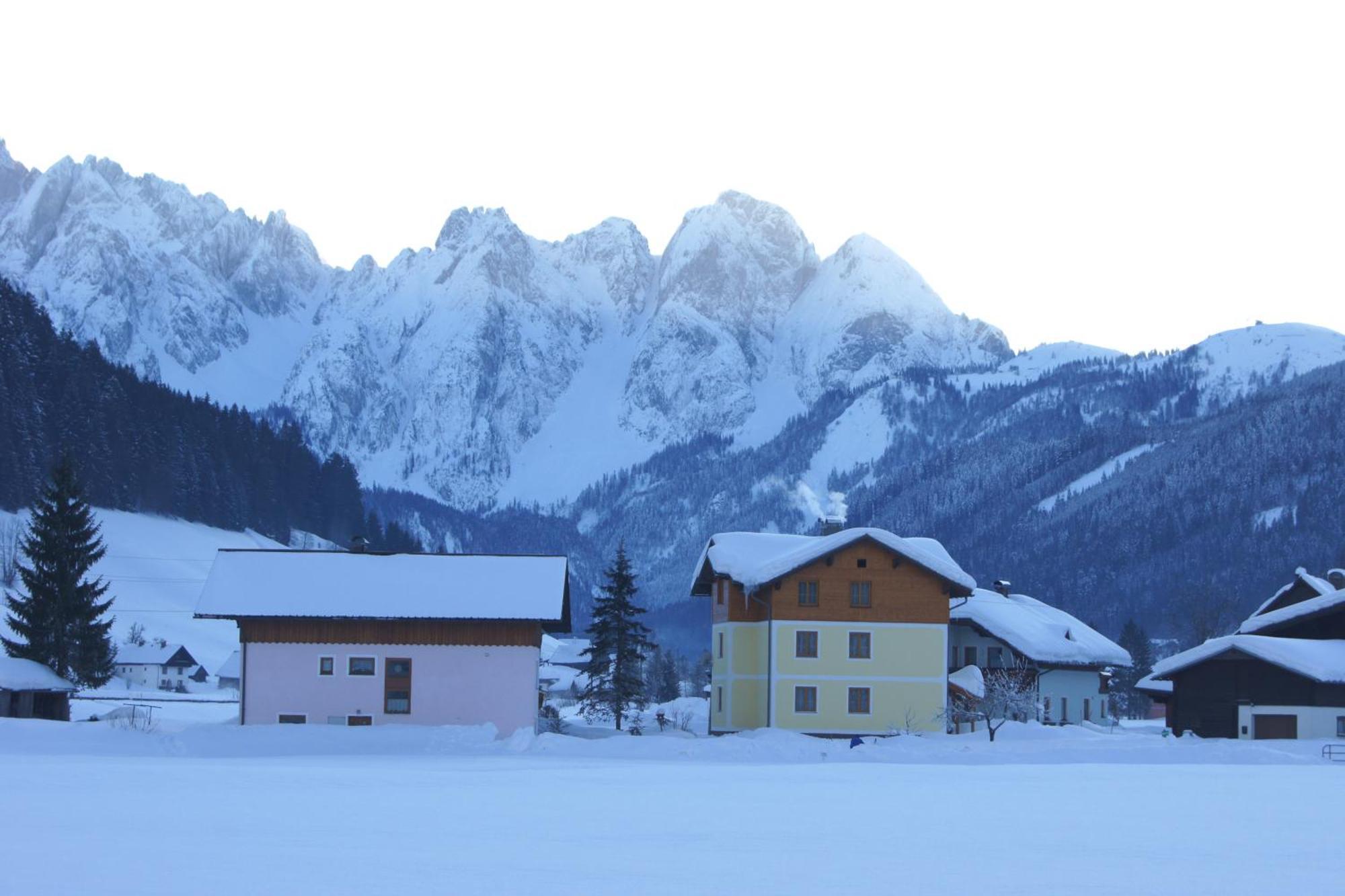 Ferienhaus Reiter Lotte Gosau Dış mekan fotoğraf